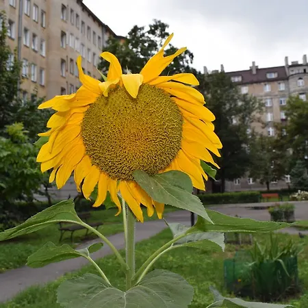 Apartment Rna Chmielna Warschau